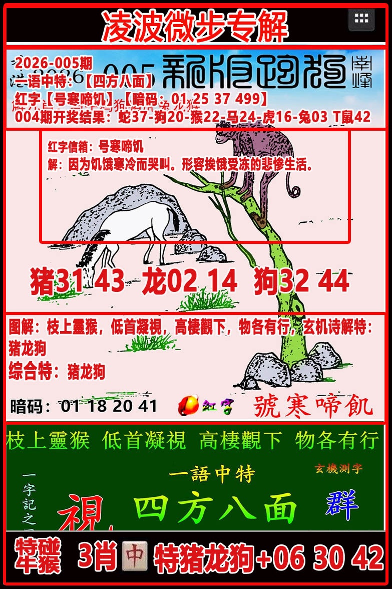 005期凌波微步专解跑狗[图]